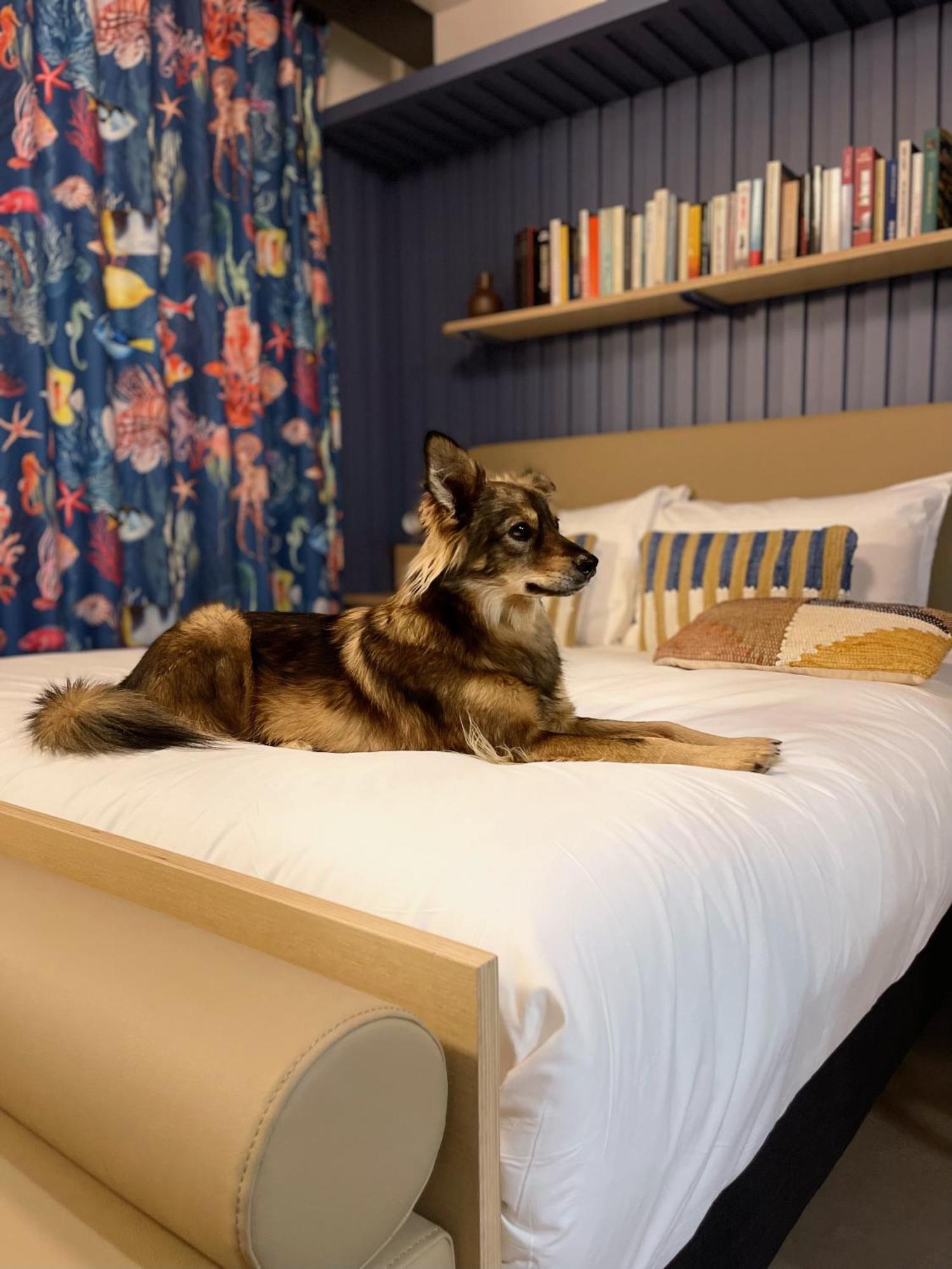 Jost Hotel Le Havre Centre Gare Экстерьер фото